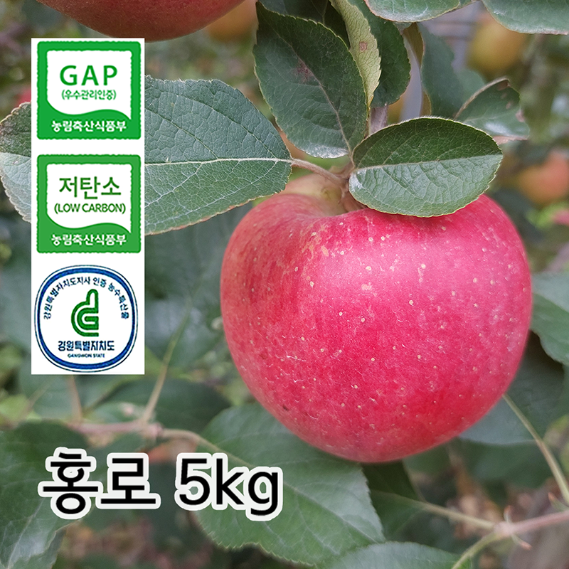 GAP, 저탄소, 강원특별자치도 농수특산물 인증 해발 620m 흘리 마을에서 재배한 건강하고 맛있는 사과