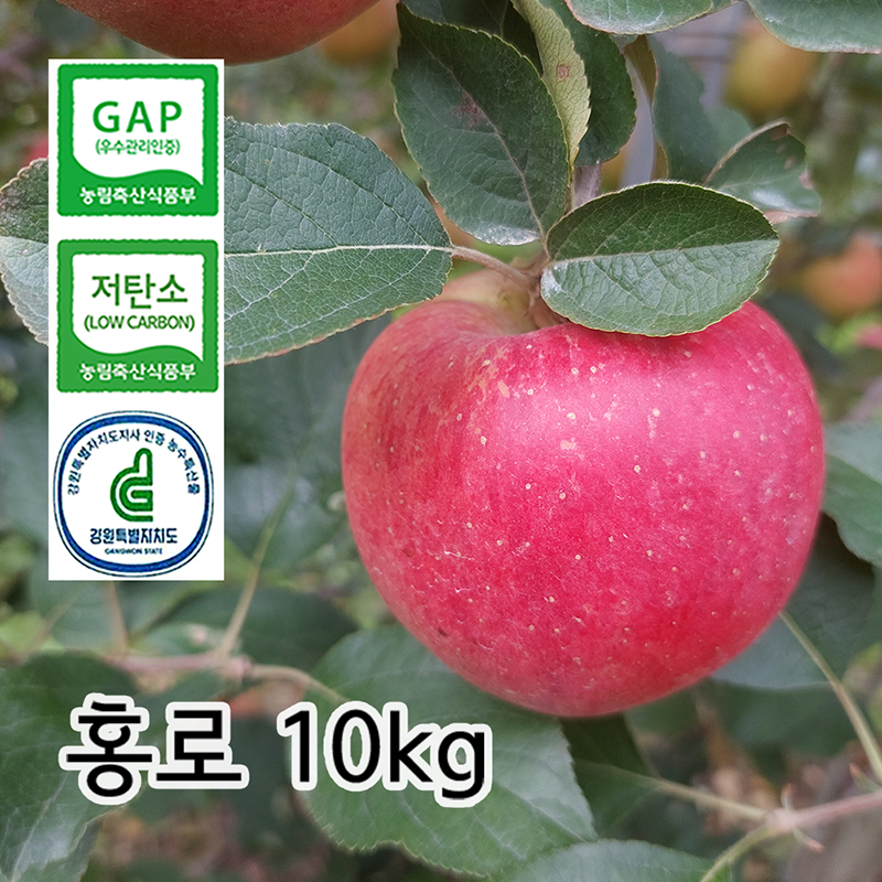 GAP, 저탄소, 강원특별자치도 농수특산물 인증 해발 620m 흘리 마을에서 재배한 건강하고 맛있는 사과